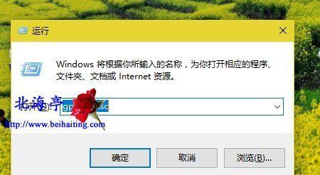 Win10教程（以简单易懂的方式，让父母帮助你掌握Win10的基本操作）