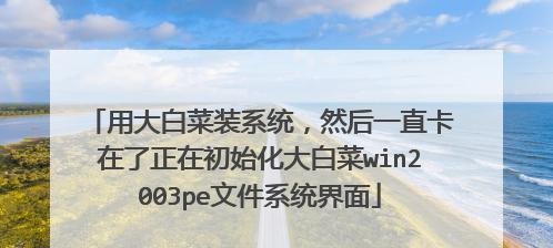 大白菜系统教程（用大白菜制作美味系统的秘密与技巧）