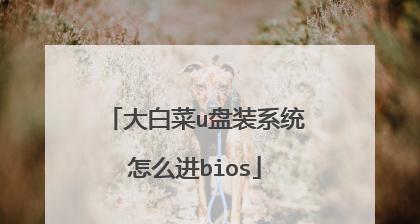 使用boisu盘装系统教程（轻松教你如何使用boisu盘来安装操作系统）