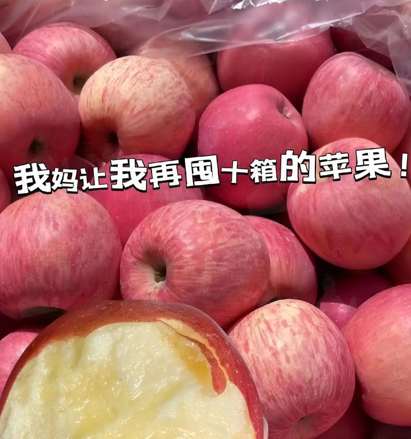 红色与苹果的奇妙融合（揭秘红色苹果的独特之处）