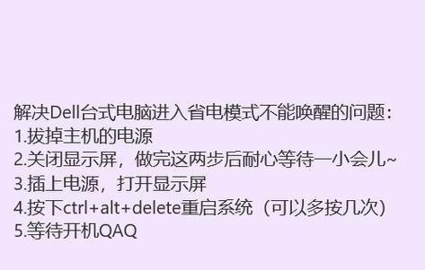 戴尔台式机使用教程（从购买到使用，让你的戴尔台式机发挥最大价值）