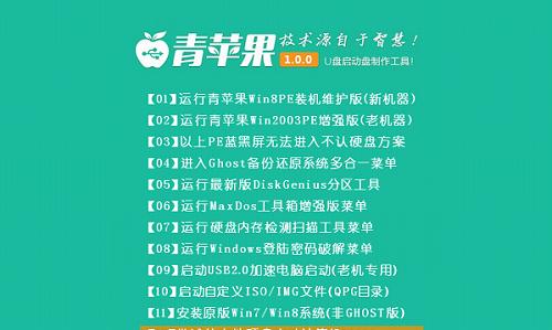 苹果U盘升级教程（用"苹果U盘"来升级您的设备吧！）