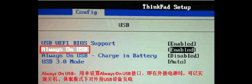 ThinkPadBIOS教程（深入了解ThinkPadBIOS设置，提升性能与功能定制）