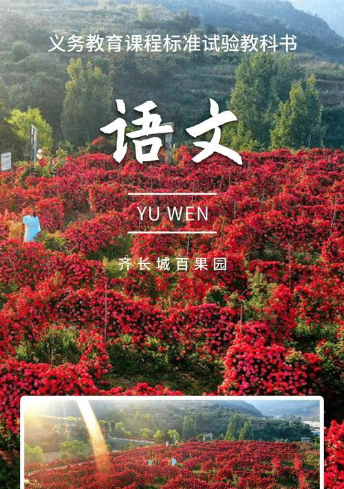 Zivi智惠手机的全面评测（打造高性能与实用性的完美结合）